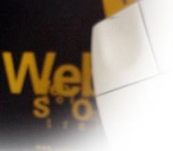 solutions for business web design